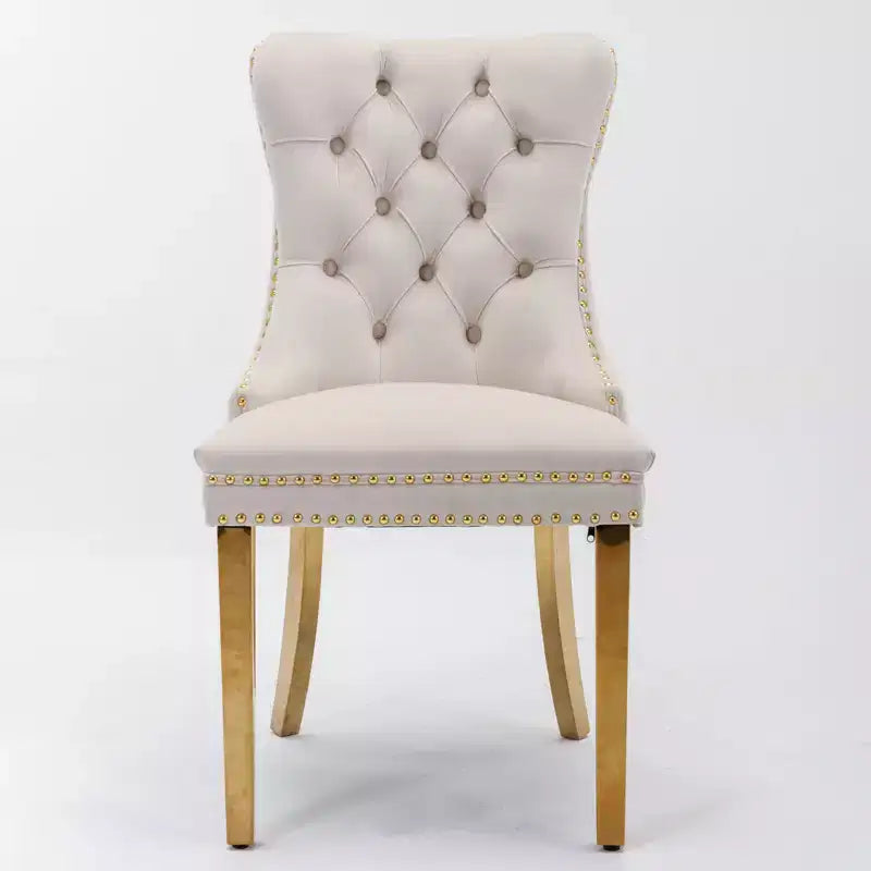 Modern Comfy Dining Chairs Set of 2, Tufted Velvet Upholstery Kitchen Chairs with Chrome Stainless Metal Legs & Nailhead Trim