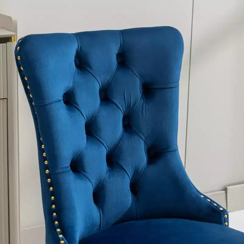 Modern Comfy Dining Chairs Set of 2, Tufted Velvet Upholstery Kitchen Chairs with Chrome Stainless Metal Legs & Nailhead Trim